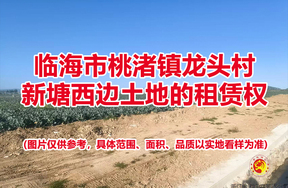 临海市桃渚镇龙头村新塘西边土地的租赁权